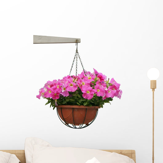 Hanging Flowers
