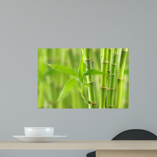 Bamboo