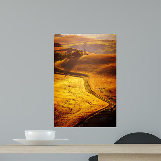 Typical Tuscany Landscape Italy