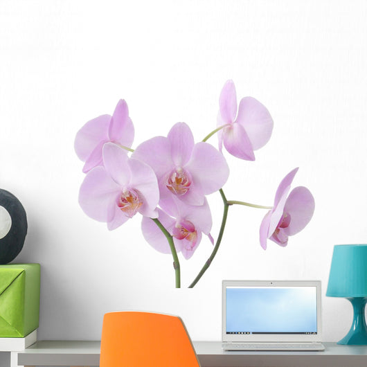 Pink Orchid Flowers Wall Decal