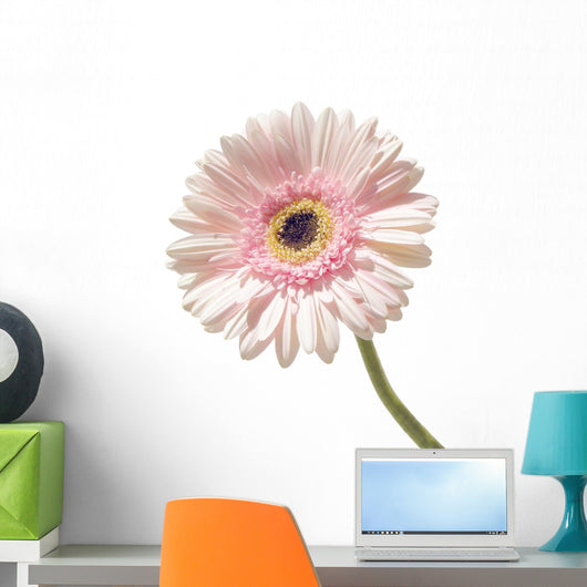 Pink Marigold Flower Wall Decal