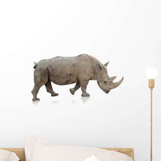 Potrait Of A Rino Wall Decal