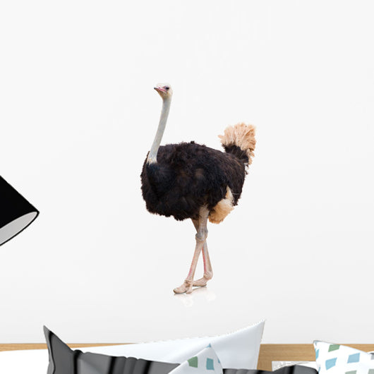 Portrait of a Ostrich Wall Decal