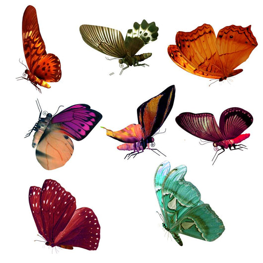 Beautiful Butterflies Wall Stickers