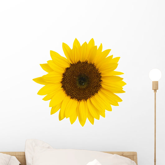 Sunflower Wall Mural