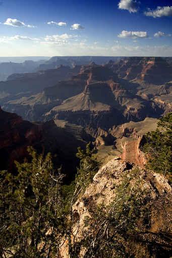Grand Canyon Wall Decal
