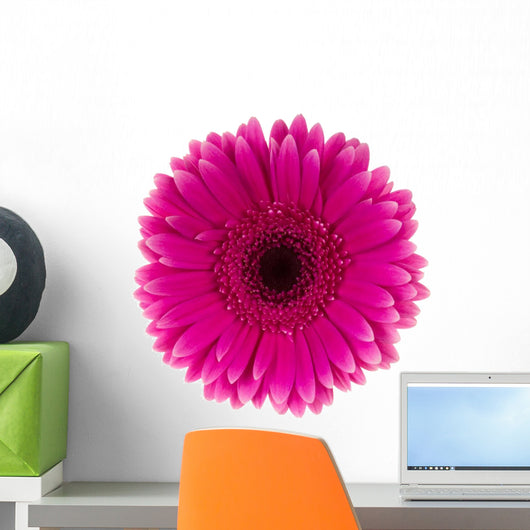 Pink Daisy Flower Wall Decal