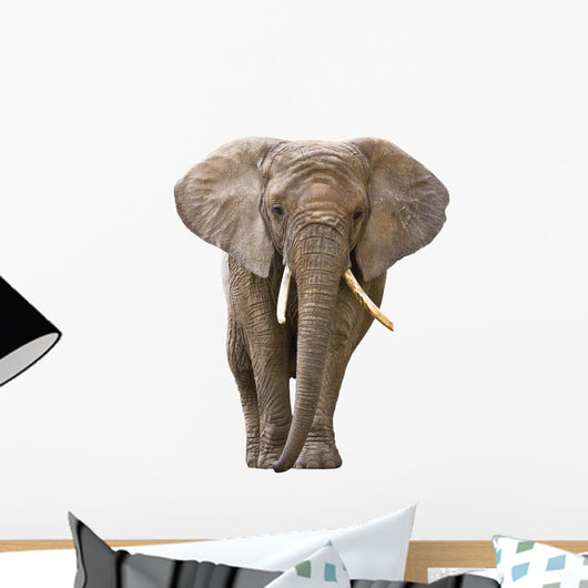 Elephant White Wall Decal