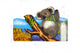 Australia Wall Decal