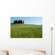 Cypress Tuscany 03 Wall Decal