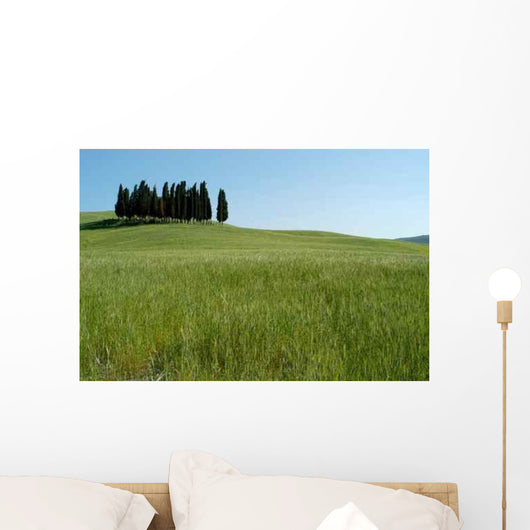 Cypress Tuscany 03 Wall Decal
