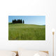 Cypress Tuscany 03 Wall Decal