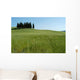 Cypress Tuscany 03 Wall Decal