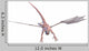 White Dragon Frontal Swoop