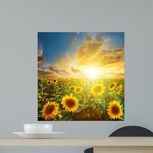 Summer Landscape Beauty Sunset