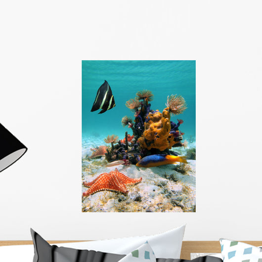 Underwater Colors and Forms