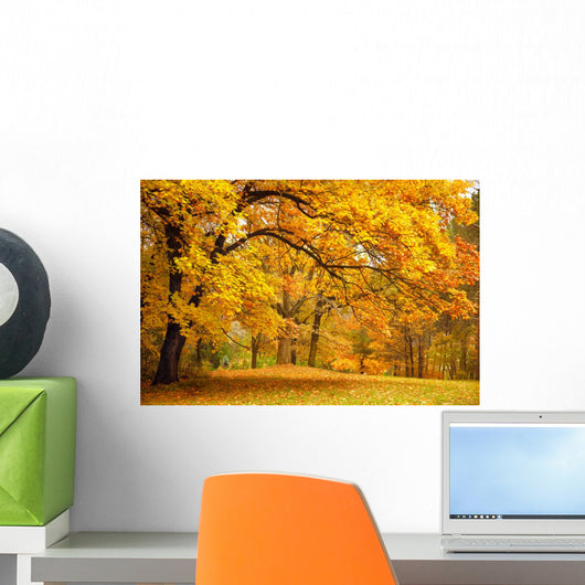 Autumn Gold Trees Park