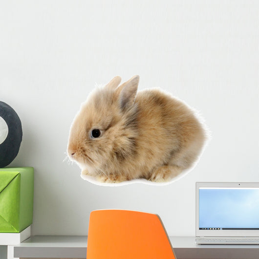 Rabbit Bunny Baby Isolated on White Background Wall Decal
