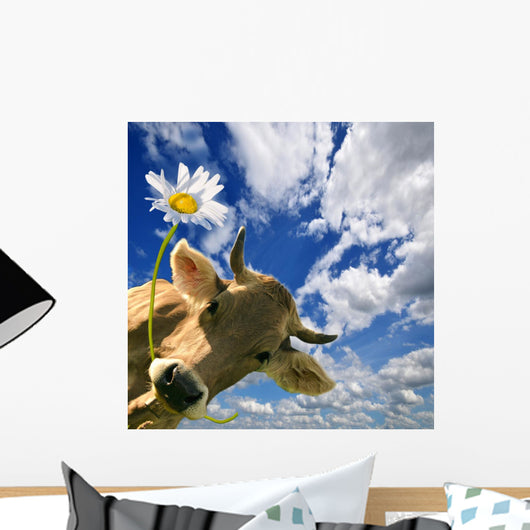 Date Birth Cow Gives