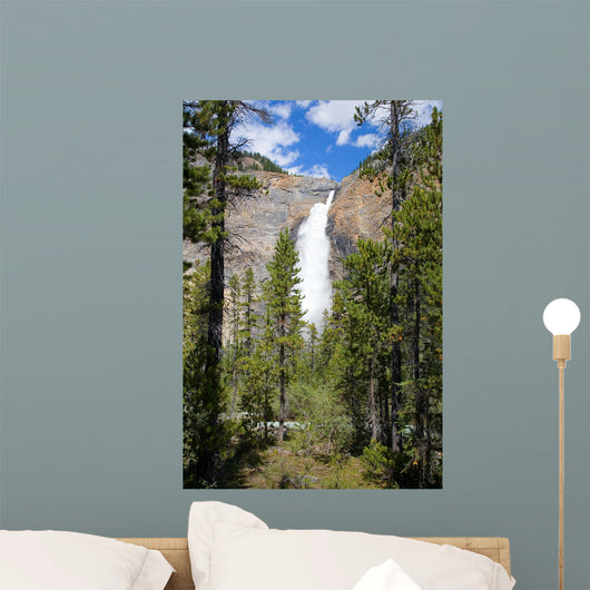 Takkakaw Falls Canadian Rockies Wall Mural