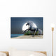 Midnight Unicorn Wall Mural
