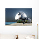 Midnight Unicorn Wall Mural