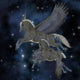 Pegasus 04