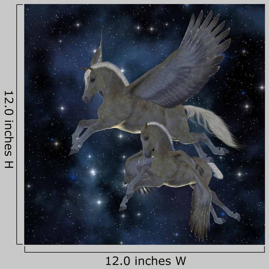 Pegasus 04