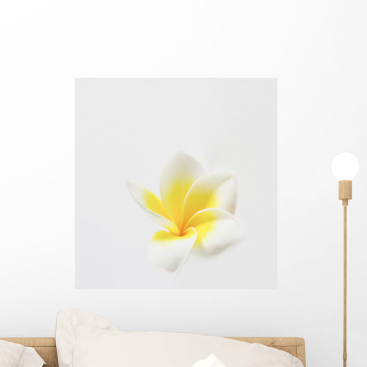 Plumeria Wall Mural