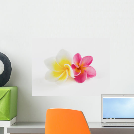 2 Flower Wall Decal