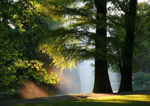 Sunset Park Wall Decal