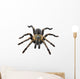Thai Zebra Tarantula (Haplopelma albostriatum) Wall Decal
