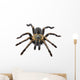 Thai Zebra Tarantula (Haplopelma albostriatum) Wall Decal