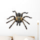 Thai Zebra Tarantula (Haplopelma albostriatum) Wall Decal