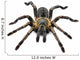 Thai Zebra Tarantula (Haplopelma albostriatum) Wall Decal