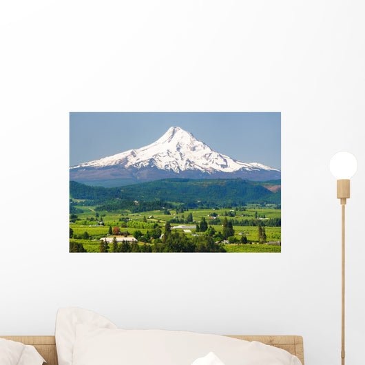 Mount Hood and Hood Wall Mural