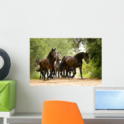 Herd Horses Wall Mural