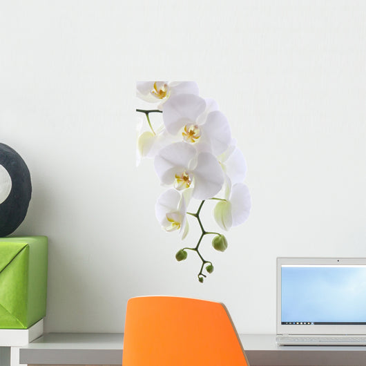 White Orchid White Wall Decal