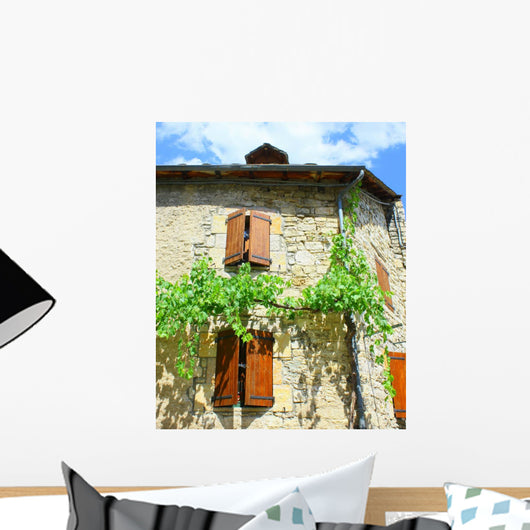 Rustic House Climbing Vine
