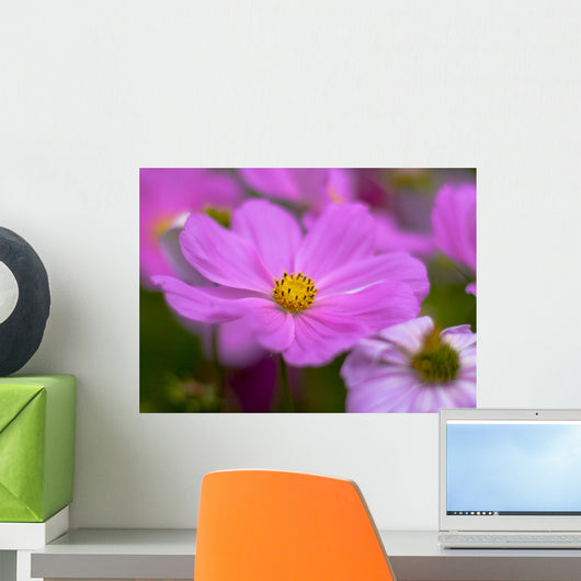 Lilac Flower Close-up Wall Mural