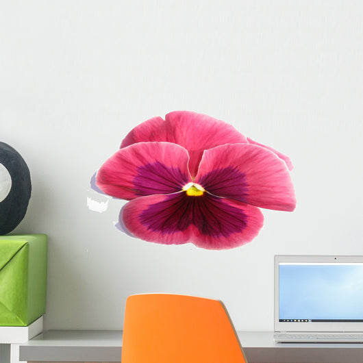 Pink Pansy Wall Mural