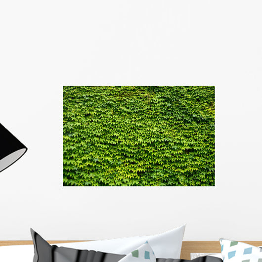 Abstract Texture Ivy Covered