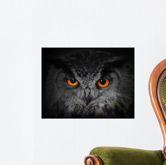 The Evil Eyes Eagle Owl Bubo Bubo Wall Mural