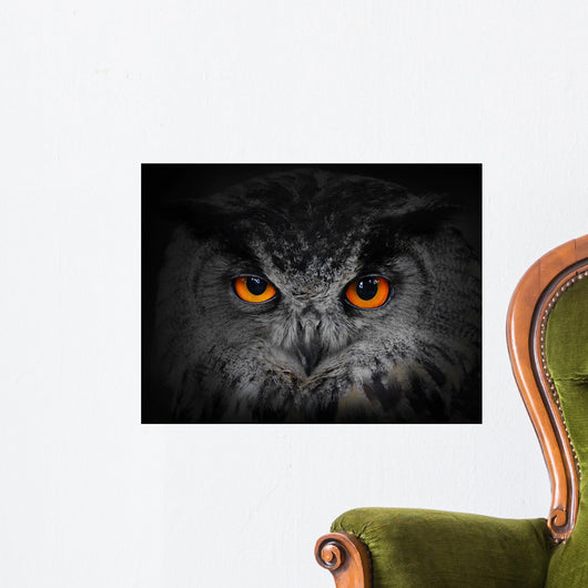 The Evil Eyes Eagle Owl Bubo Bubo Wall Mural