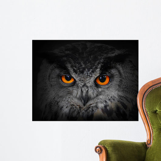 The Evil Eyes Eagle Owl Bubo Bubo Wall Mural