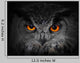 The Evil Eyes Eagle Owl Bubo Bubo Wall Mural