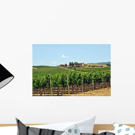 Vineyards Chianti-tuscany