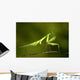 praying Mantis 03 Wall Mural