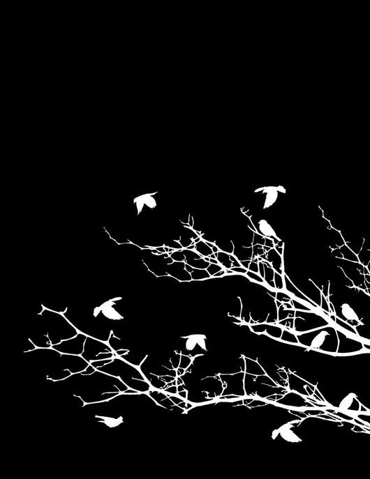 Beautiful Tree Silhouette with