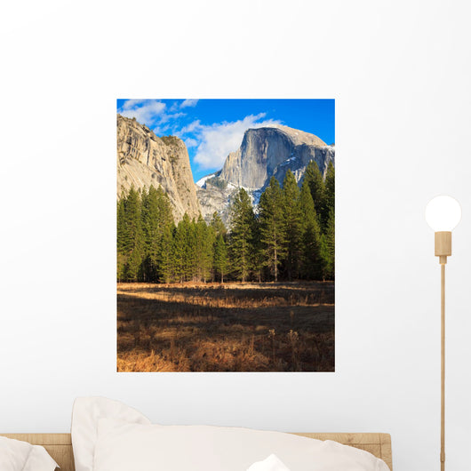 Yosemite Valley Landscape